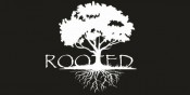 rooted in christ col 2