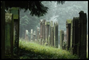 death runs in the family