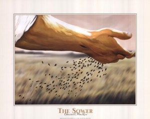 SEED The sower by Garrett Walker 