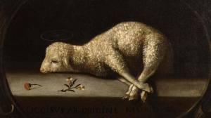 Passover-lamb #lent